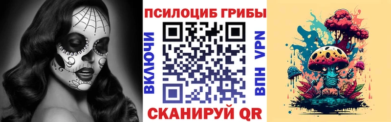 Галлюциногенные грибы MAGIC MUSHROOMS  купить наркотики сайты  Краснокамск 