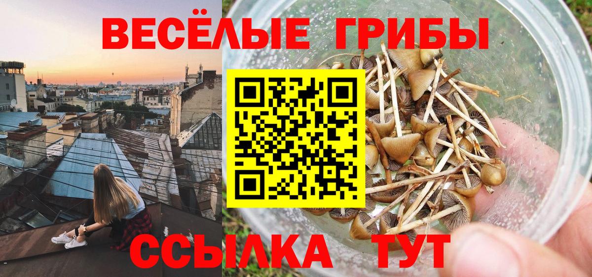 Псилоцибиновые грибы прущие грибы  Галлюциногенные грибы Cubensis  Краснокамск  Вход с VPN 